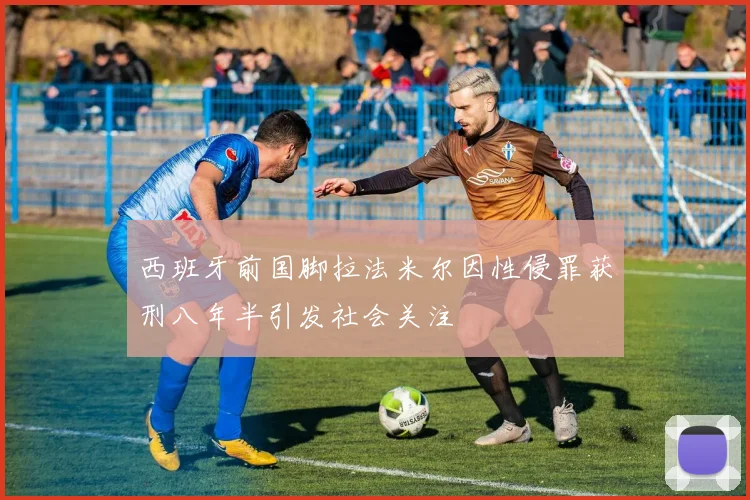 西班牙前国脚拉法米尔因性侵罪获刑八年半引发社会关注